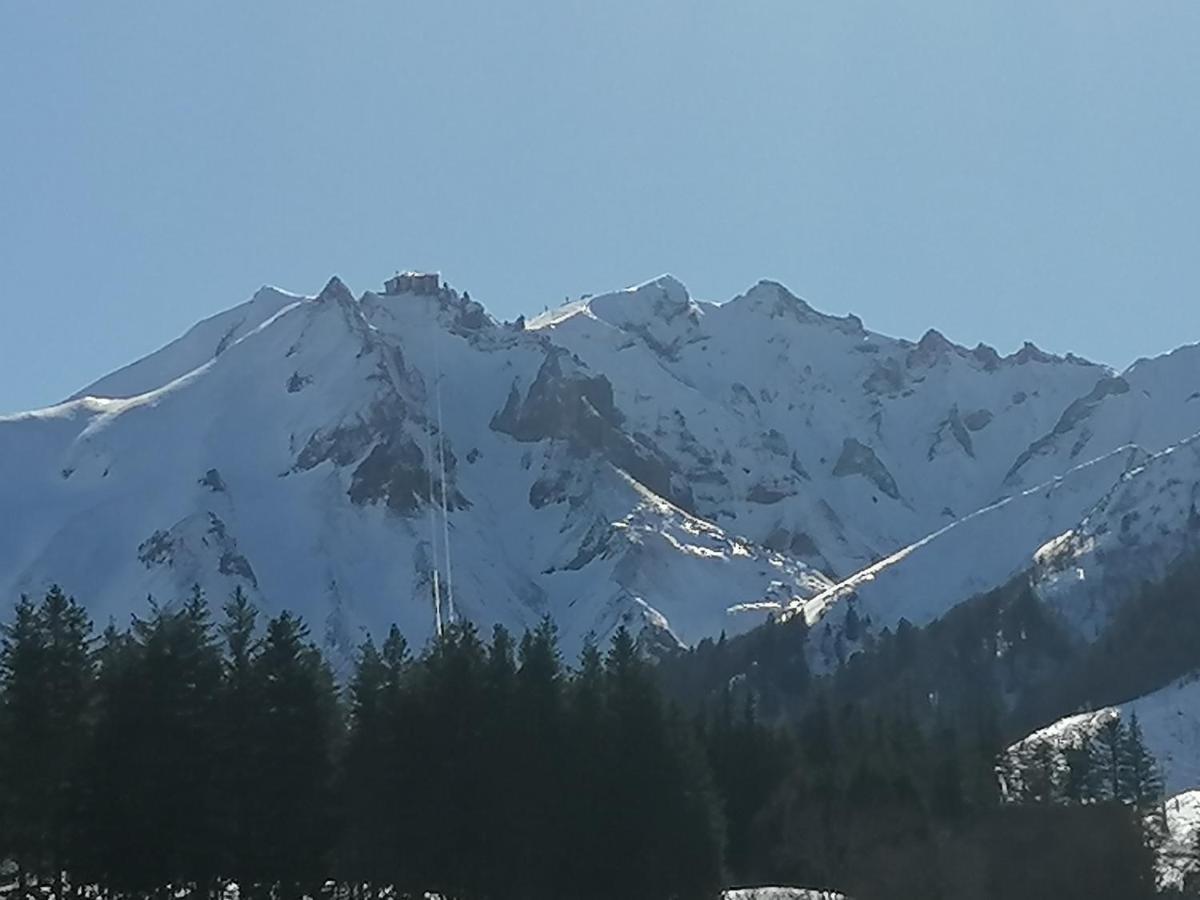 Coquelicot, Entre Volcans D Auvergne Et Sancy, Orcival. Exterior foto